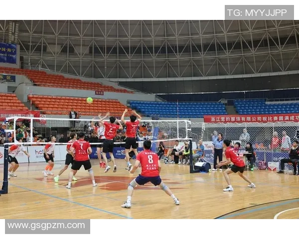 北京排球队在精英赛中的团队协作表现分析与点评