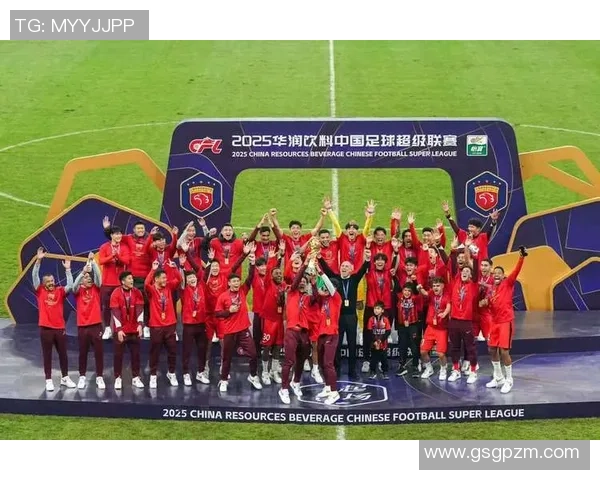 武汉足球队球员实力强劲最新个人能力排名前十揭晓